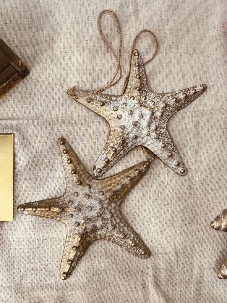 Starfish hanger