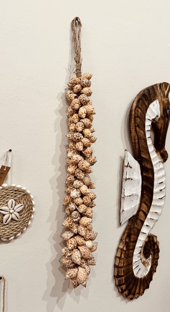 Boho beach hanger