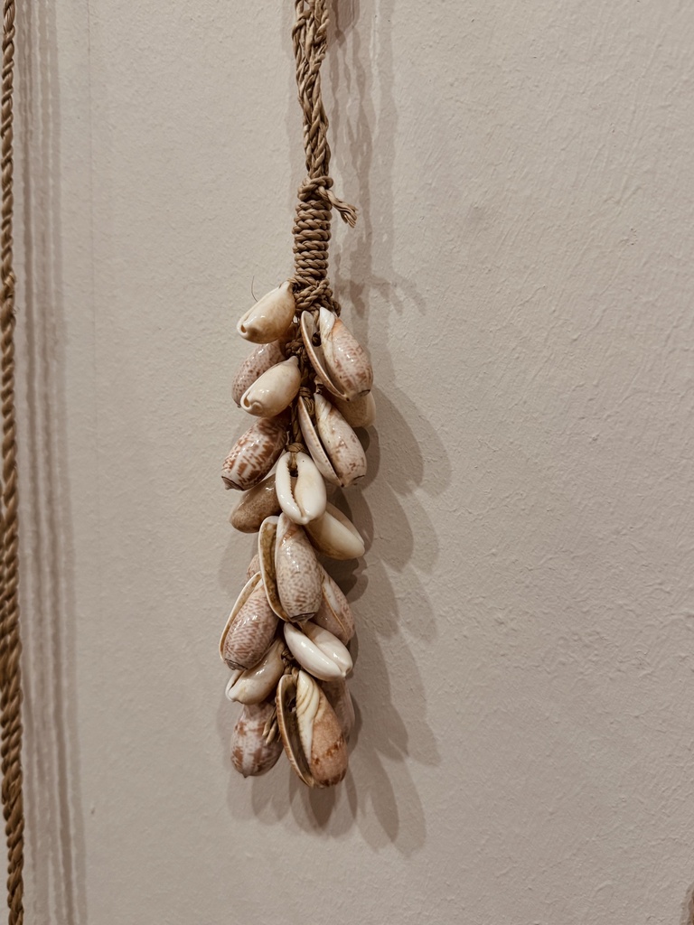 Door shell hanger