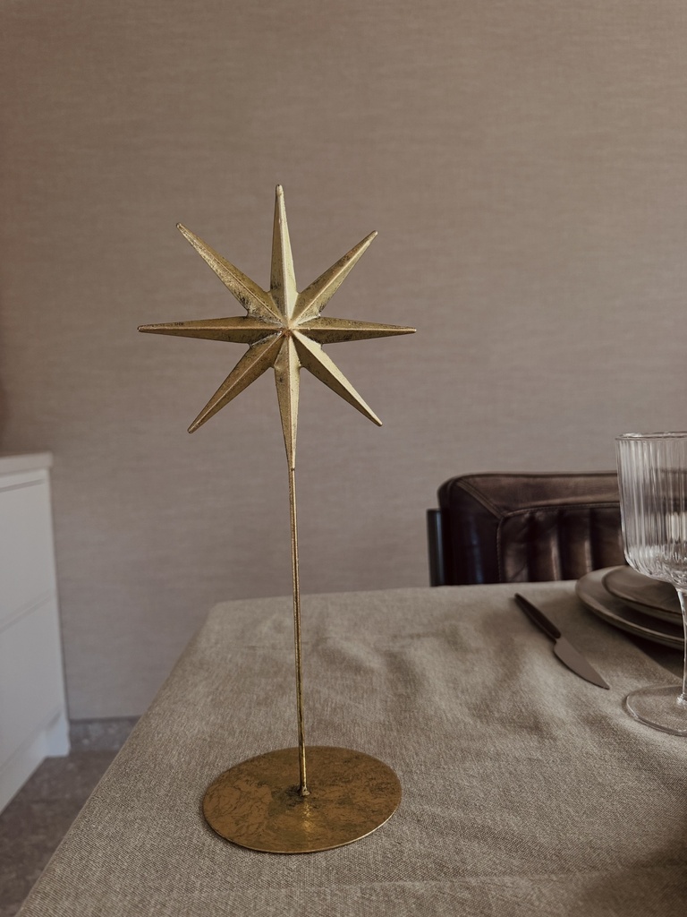 Christmas star